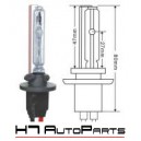 Lampadas Xenon-881